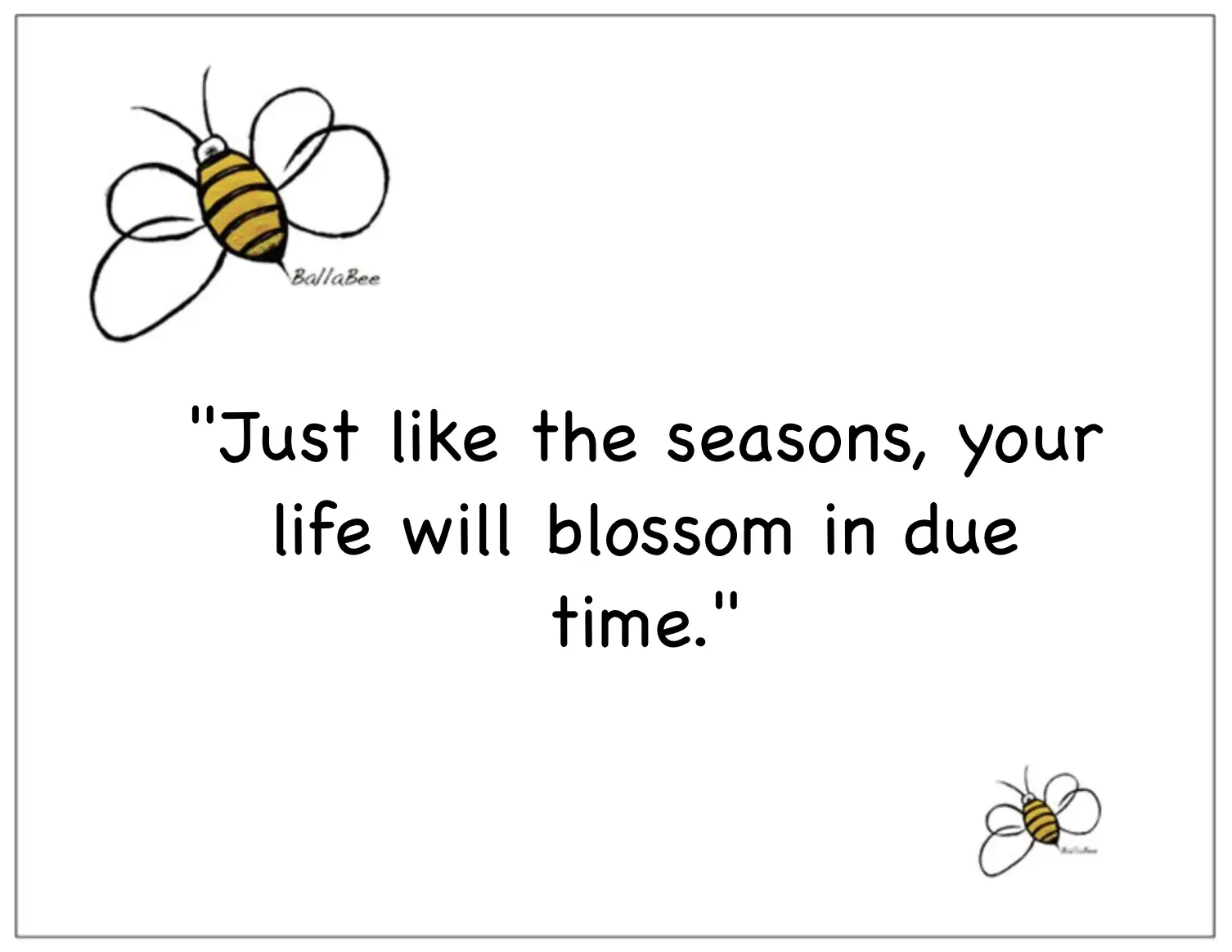 Just like the seasons, your life will blossom in due time